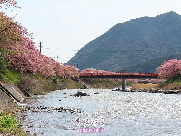 [遊記] 日本東京 ‧ 三浦海岸 ‧ 伊豆河津 ‧ 下田 ‧