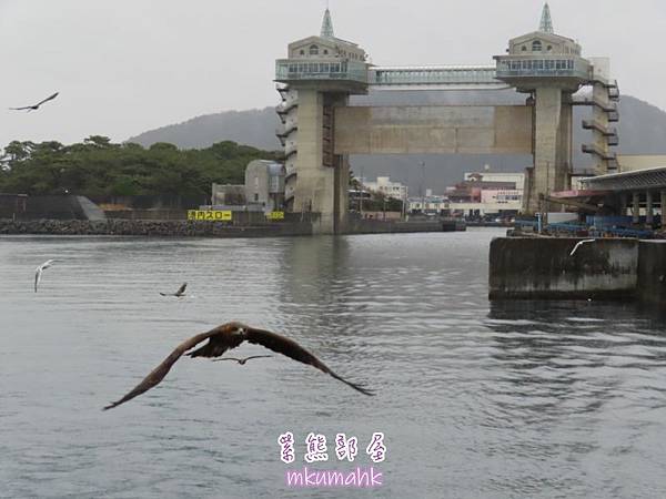 [遊記] 日本東京 ‧ 三浦海岸 ‧ 伊豆河津 ‧ 下田 ‧