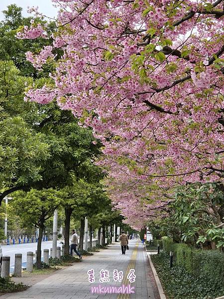 [遊記] 日本東京 ‧ 三浦海岸 ‧ 伊豆河津 ‧ 下田 ‧