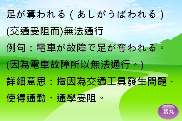 紫丸日文足が奪われる