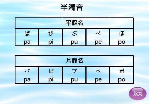 紫丸日文半濁音圖片