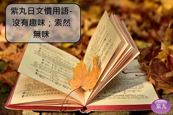 影音圖文 紫丸日文慣用語 沒有趣味 索然無味的日文 紫丸日文小棧 痞客邦
