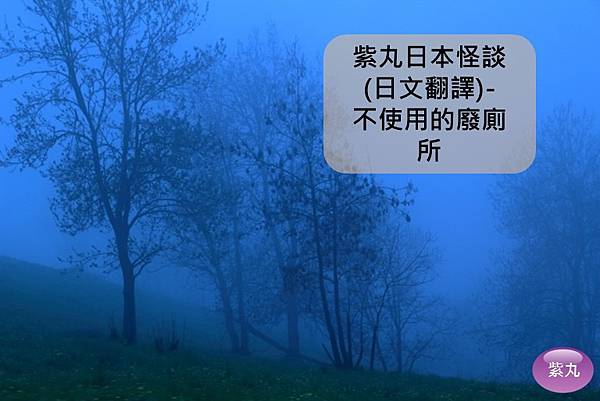 紫丸日文不使用的廢廁所封面