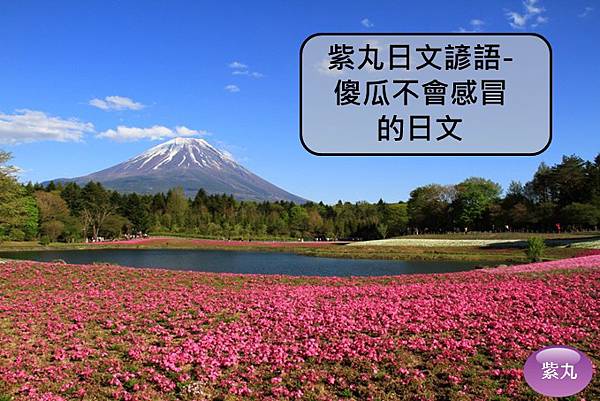 紫丸日文諺語 傻瓜不會感冒的日文 紫丸日文小棧 痞客邦
