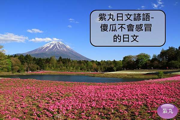 紫丸日文諺語 傻瓜不會感冒的日文 紫丸日文小棧 痞客邦 紫丸日文諺語 傻瓜不會感冒的日文 紫丸日文小棧 痞客邦