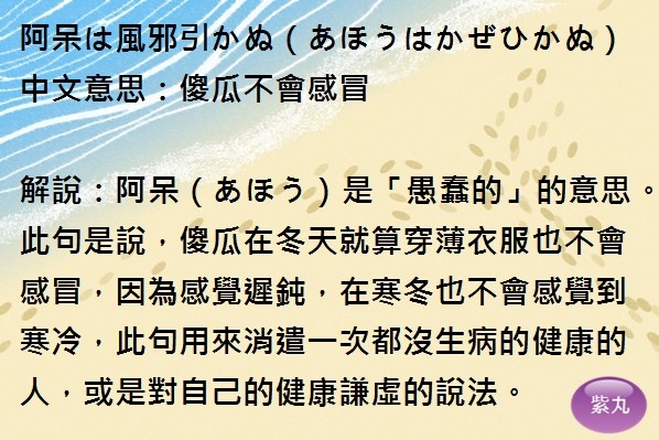 紫丸日文阿呆は風邪引かぬ圖片