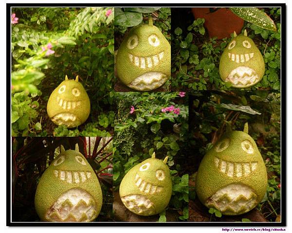 花哈~柚子totoro^^