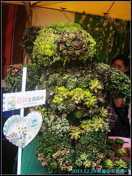 植物熊.jpg