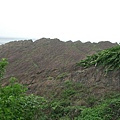 東部海岸