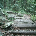 八仙山森林遊樂區-登山步道