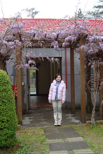武陵山莊-紫藤迴廊