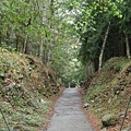 桃山瀑布步道