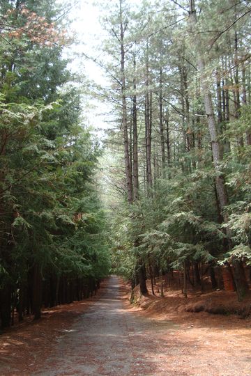 桃山瀑布步道