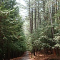 桃山瀑布步道