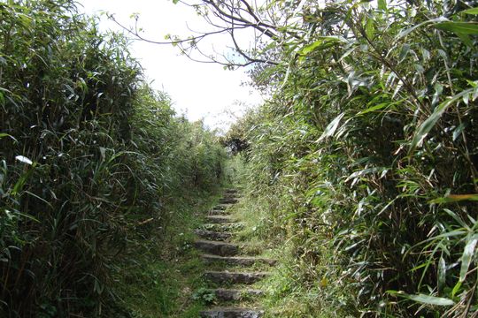 大屯山-鞍部登山步道