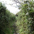 大屯山-鞍部登山步道