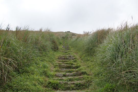 大屯山-鞍部登山步道