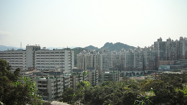 2011-03-13-全景1.JPG