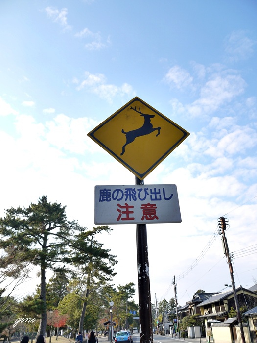 1.JPG 1.JPG