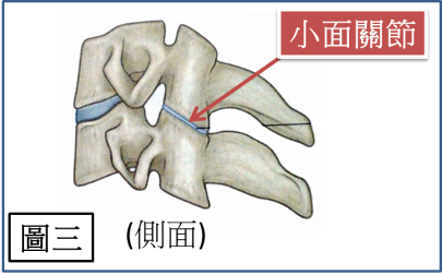 CA3