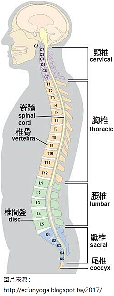 儀嘉物理治療所