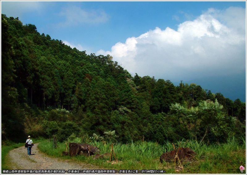 東眼山-7.jpg