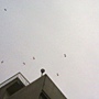 20111010613.jpg