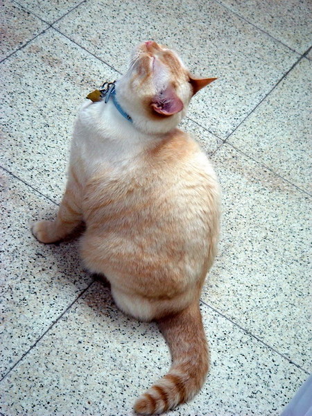 ntu174.JPG