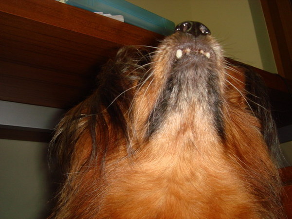 DSC01445_resize.JPG
