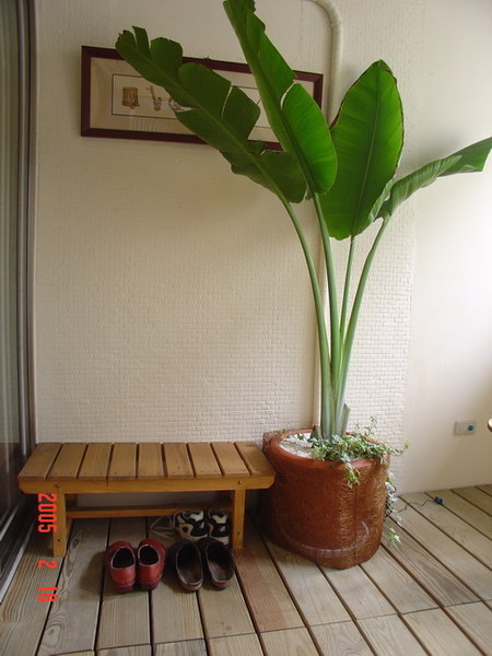 home14.JPG