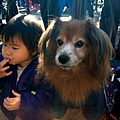 iphone_201211_46