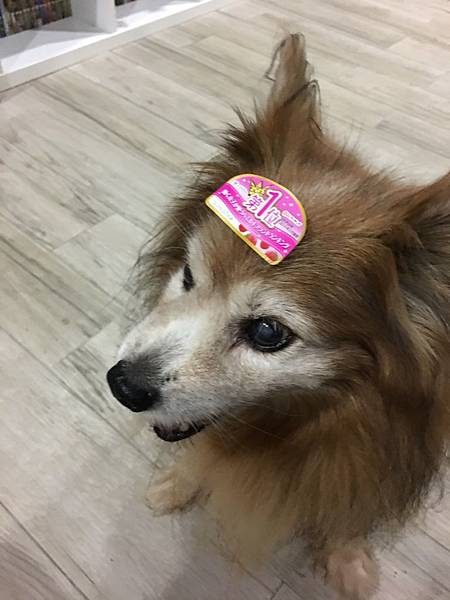 IMG_4604.JPG IMG_4604.JPG