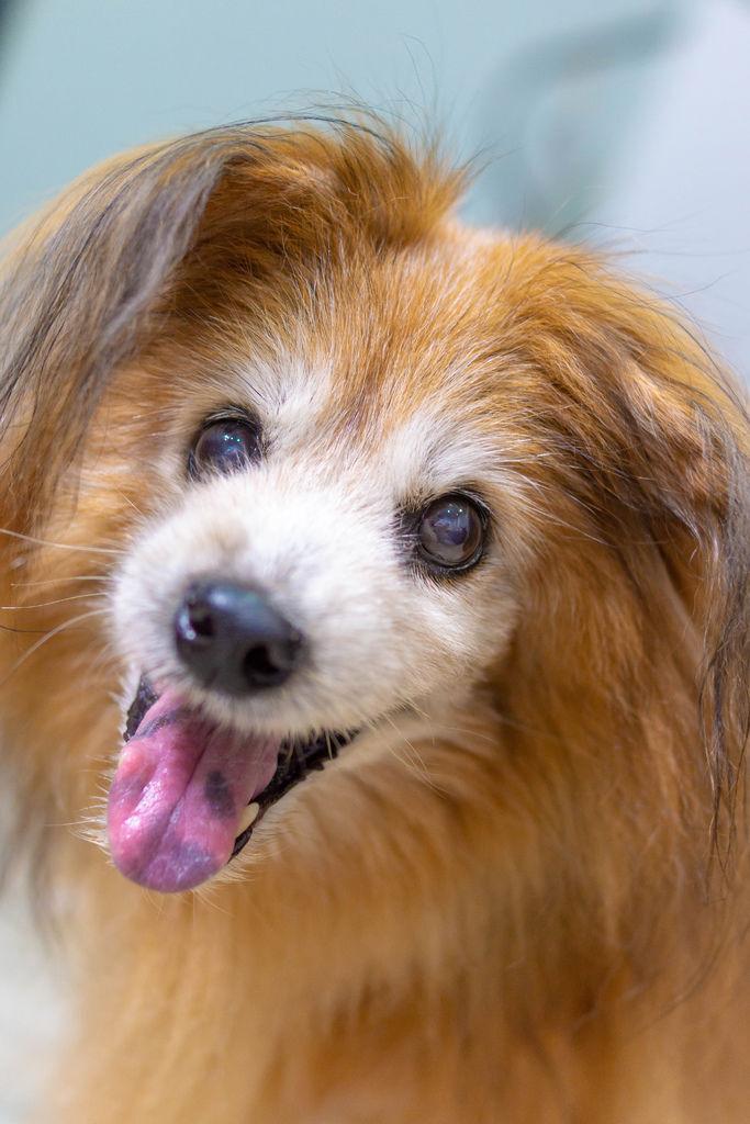 DSC09297.jpg DSC09297.jpg