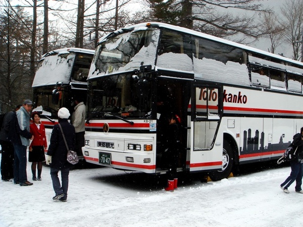 nikko2_54.jpg