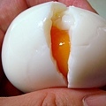 egg09.jpg