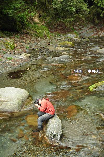 DSC_0924(阿男拍+浮水印.JPG