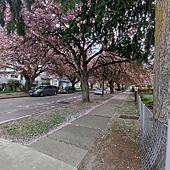 加拿大WORKING HOLIDAY第一週記事