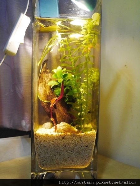 N_1400980.JPG N_1400980.JPG