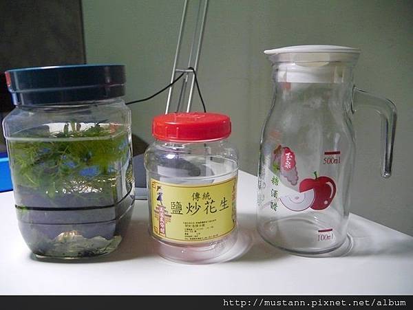 _1480593.JPG _1480593.JPG