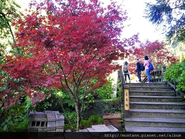 _1480688.JPG _1480688.JPG