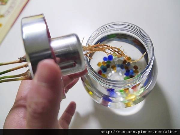 _1500254v1.JPG _1500254v1.JPG