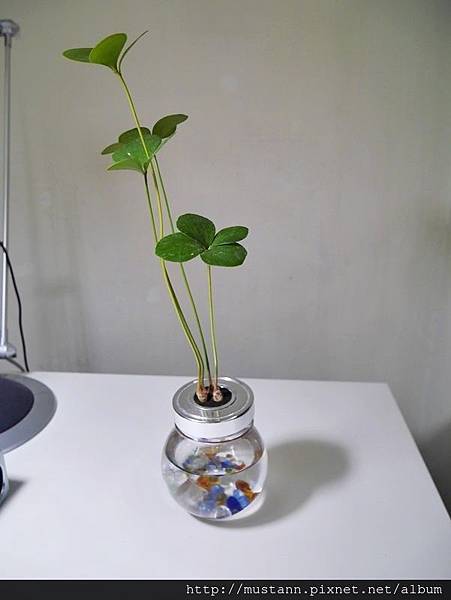 _1500243v1.JPG _1500243v1.JPG