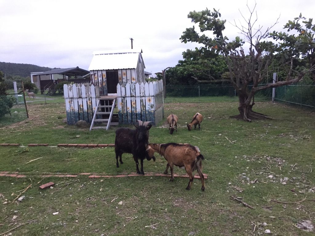 綠島三天兩夜 │ 行程全攻略 (交通/ 景點/ 美食/ 住宿