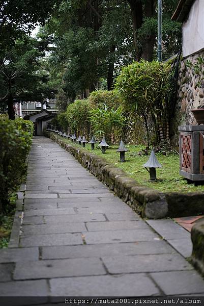 DSCF2829.JPG