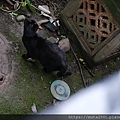 DSCF2831.JPG
