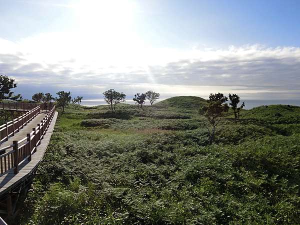 日本 極上北海道賞花day5 知床五湖高架木道散策 極上の綺麗な世界 勝軍先生の究極奧義ブログ 痞客邦