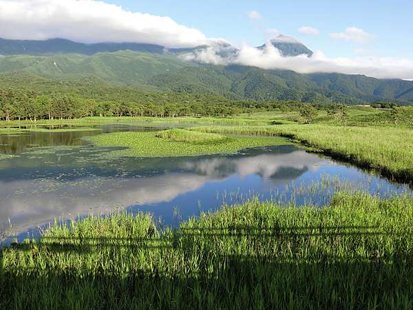 日本 極上北海道賞花day5 知床五湖高架木道散策 極上の綺麗な世界 勝軍先生の究極奧義ブログ 痞客邦