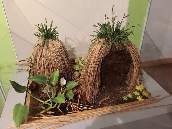 日本 極上北海道賞花day7 釧路市濕原展望台 魚活鮮とあぶり焼海へ釧路中央店 極上の綺麗な世界 勝軍先生の究極奧義ブログ 日本 極上北海道賞花day7 釧路市濕原展望台 魚活鮮とあぶり焼海へ釧路中央店 極上の綺麗な世界 勝軍先生の究極奧義ブログ