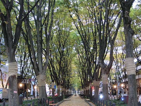 日本 極上東北紅葉狩day3 勾当台公園 定禅寺通り 西公園 極上の綺麗な世界 挾飛仙以遨遊 抱明月而長終 痞客邦
