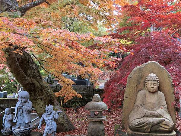 日本 極上東北紅葉狩day7 永源寺 三村觀光果樹園 極上の綺麗な世界 勝軍先生の究極奧義ブログ 痞客邦